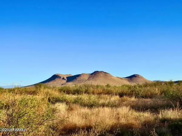 Pearce, AZ 85625,Doe Ranch Rd  40.1 Acres