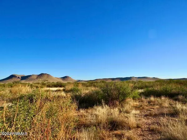 Pearce, AZ 85625,Doe Ranch Rd  40.1 Acres