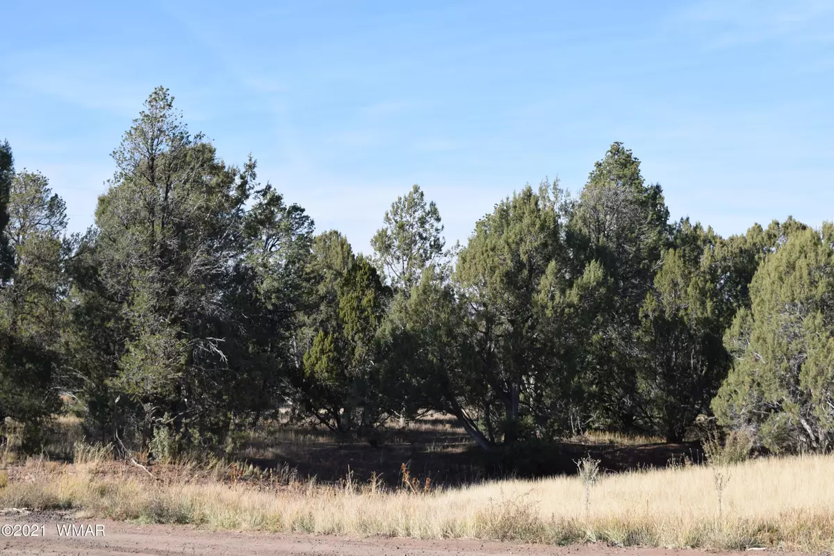 Clay Springs, AZ 85923,2145 Graphite Road