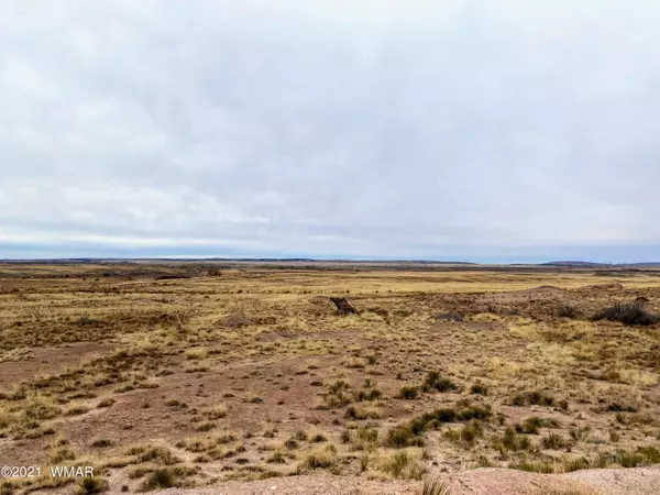 St. Johns, AZ 85936,Highway 191