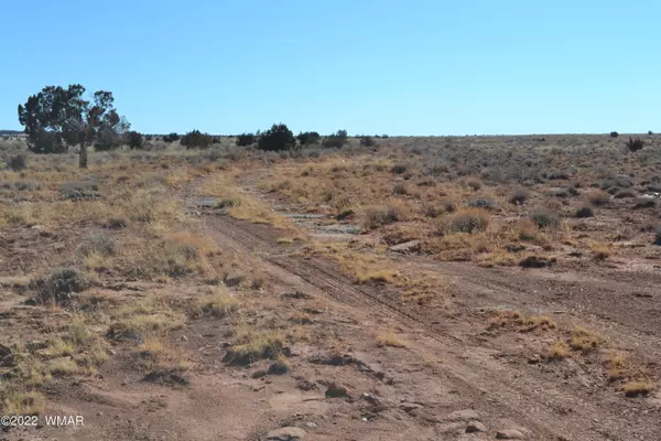 Snowflake, AZ 85937,Lot 526 (Chipewa) Trail