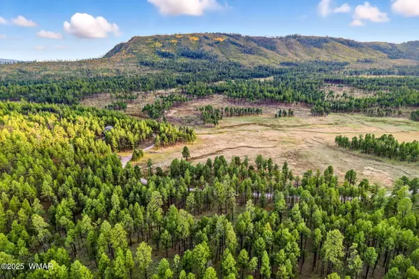 Alpine, AZ 85920,1 FOREST ROAD 26