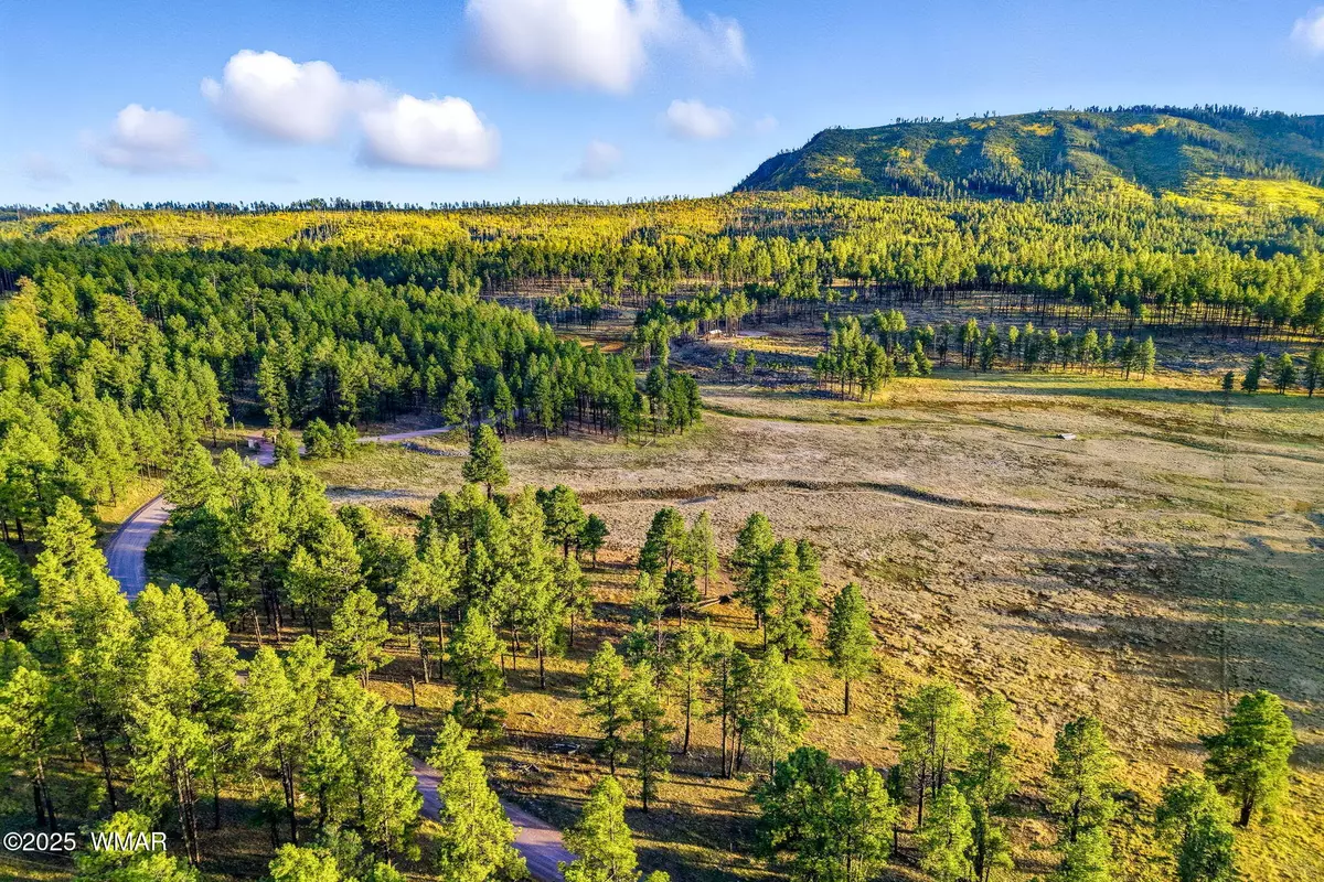 Alpine, AZ 85920,1 FOREST ROAD 26