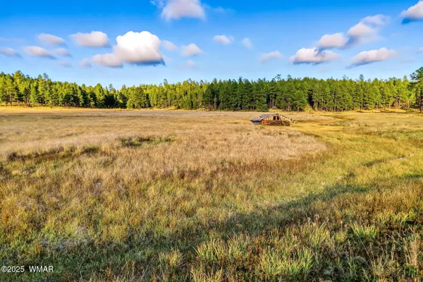 Alpine, AZ 85920,1 FOREST ROAD 26