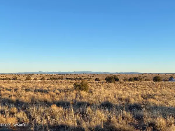 Snowflake, AZ 85937,52 Snowflake Ranches