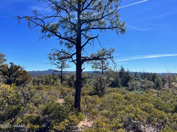 Show Low, AZ 85901,1985 S Twin Peak Trail