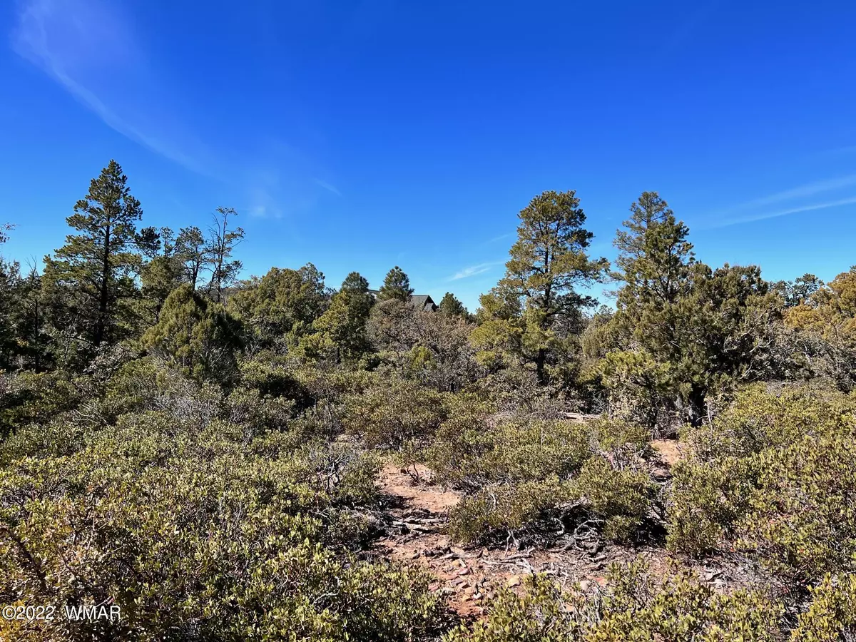 Show Low, AZ 85901,1985 S Twin Peak Trail