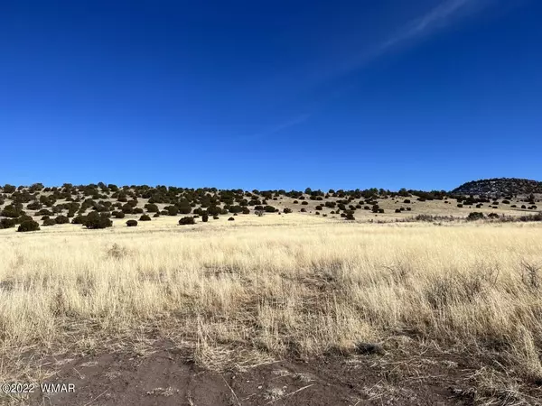 Springerville, AZ 85938,TBD Street