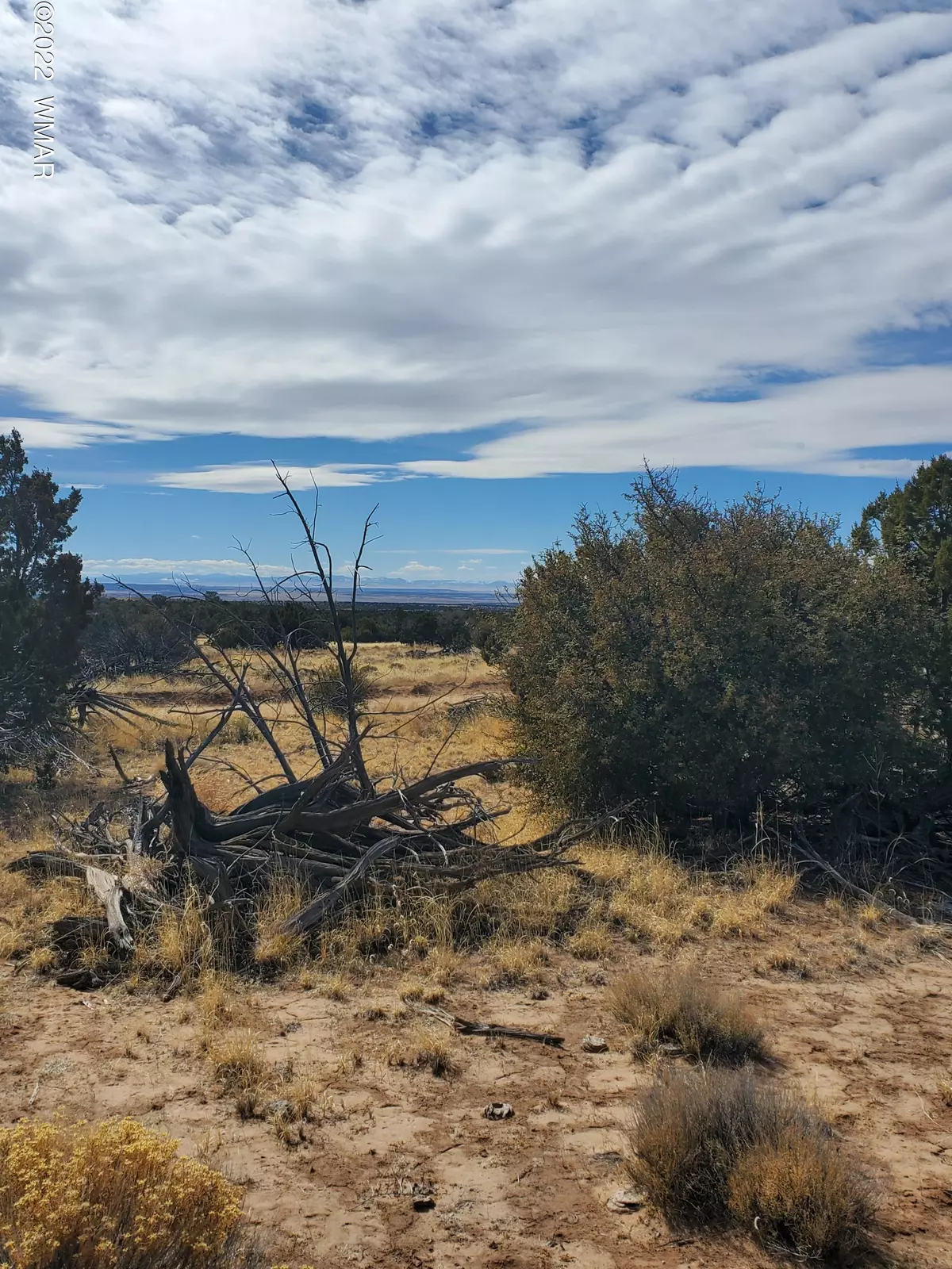 St. Johns, AZ 85936,209 Woodland Valley Ranch