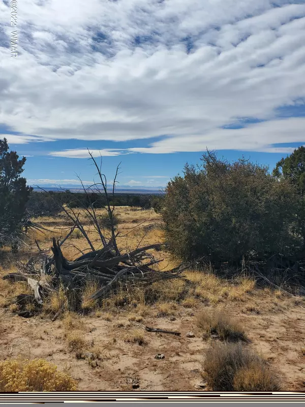 209 Woodland Valley Ranch, St. Johns, AZ 85936