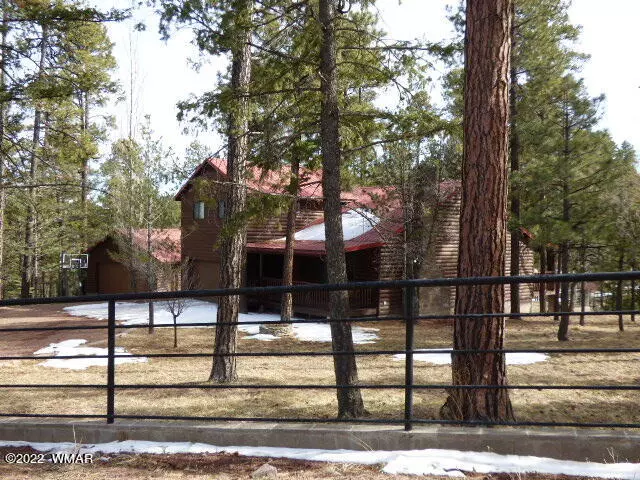 9 County Road 2074, Alpine, AZ 85920