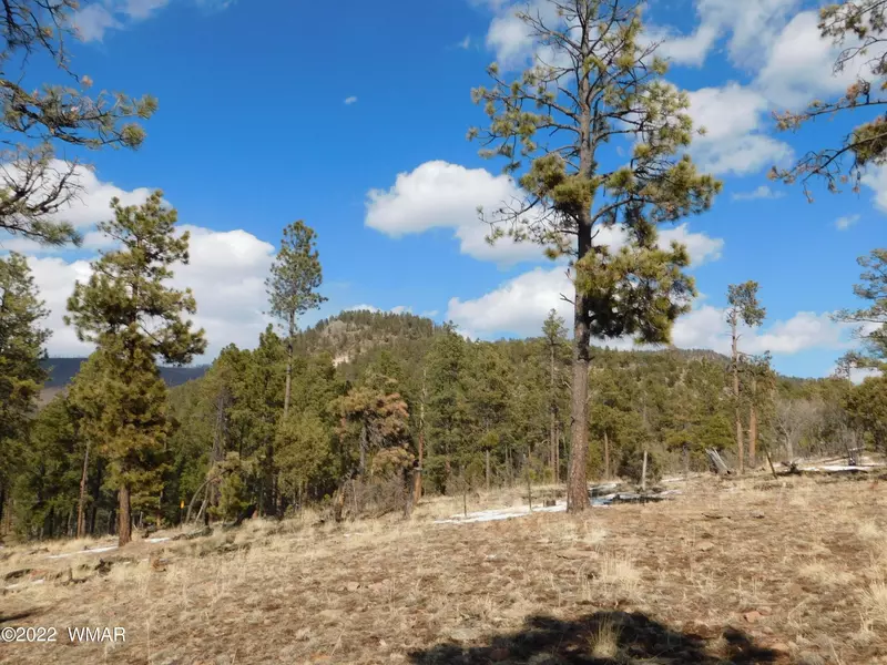 42 County Road N2058, Alpine, AZ 85920