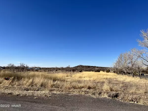 0 E 4Th 4.17 Acres Street, Eagar, AZ 85925