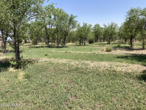 0 E 3RD 15.97 ACRES Street, Eagar, AZ 85925