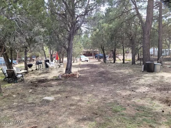 Overgaard, AZ 85933,2176 Tewksbury Road