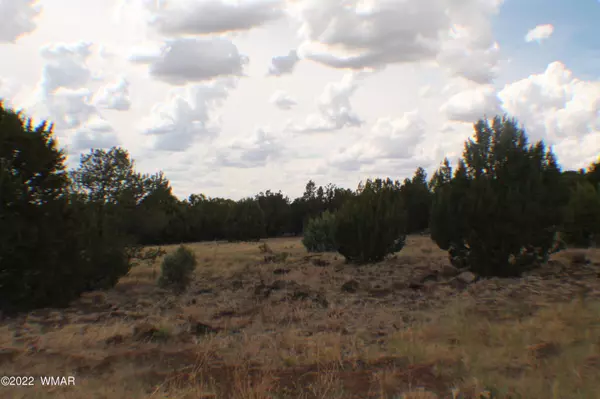 Show Low, AZ 85901,2200 E Rockgarden Lane