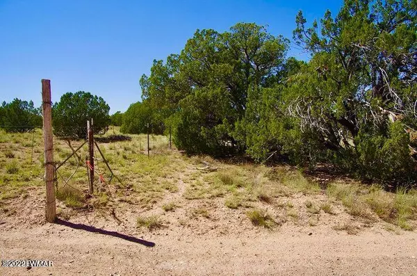 Denny Ranch Rd C 10 Acres, Seligman, AZ 86337