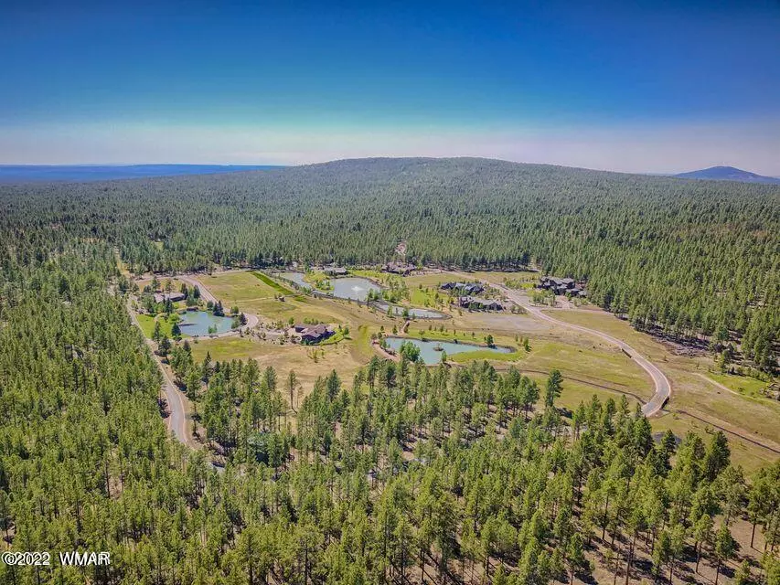 Pinetop, AZ 85935,9579 Sierra Springs Drive