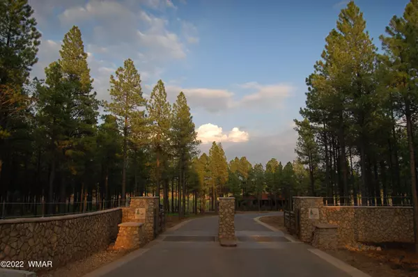 Pinetop, AZ 85935,9579 Sierra Springs Drive