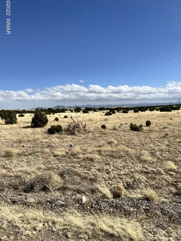 Concho, AZ 85924,Windsor Valley Ranch 197