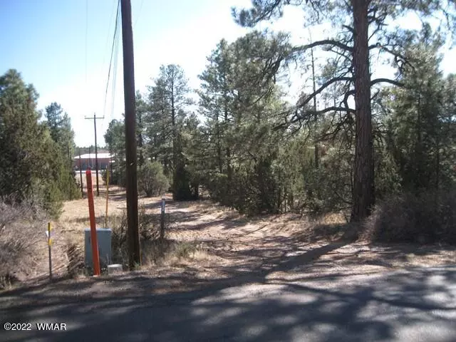 Overgaard, AZ 85933,2081 Forest Park