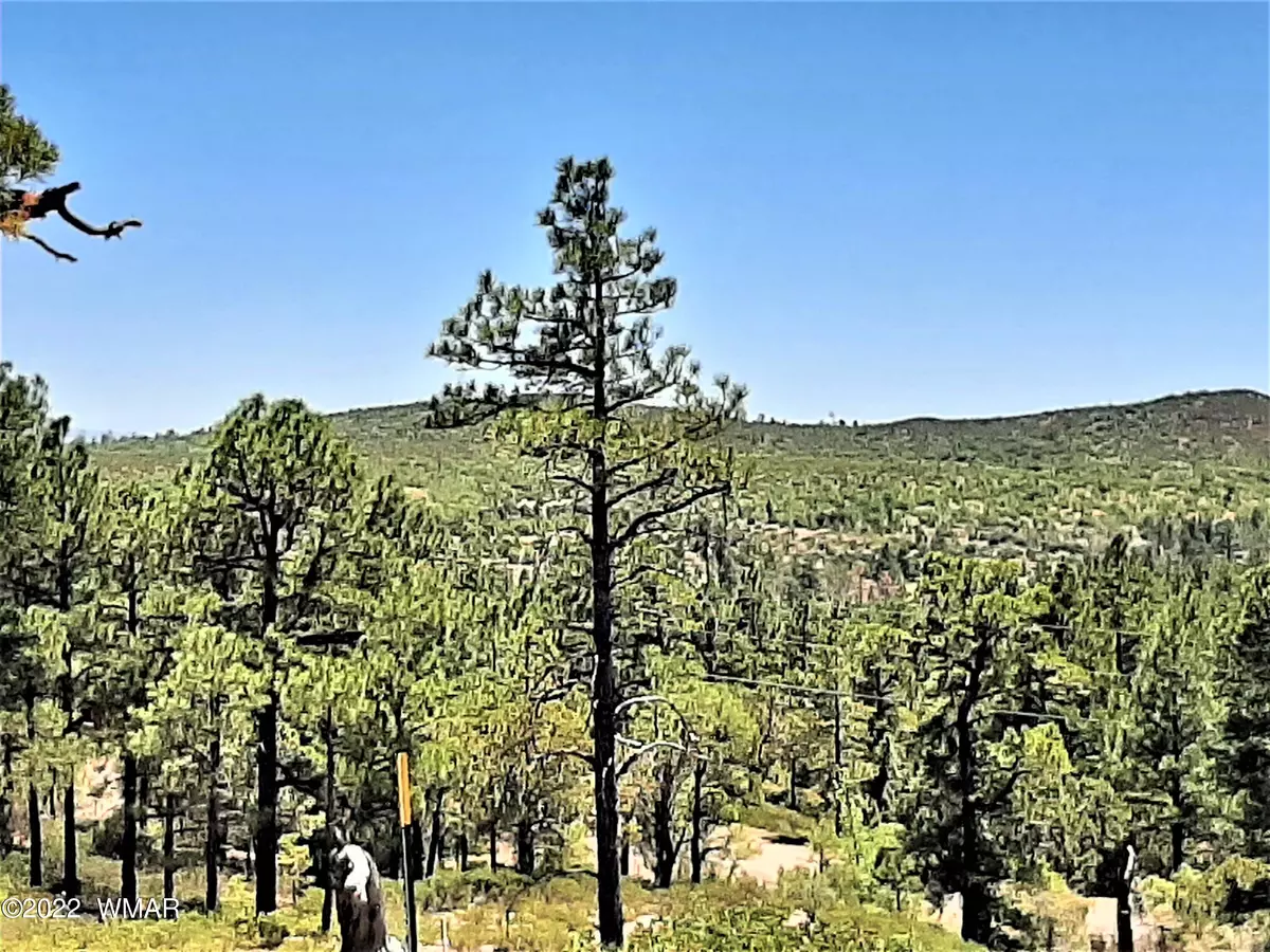 Show Low, AZ 85901,6374 Old Forest Trail