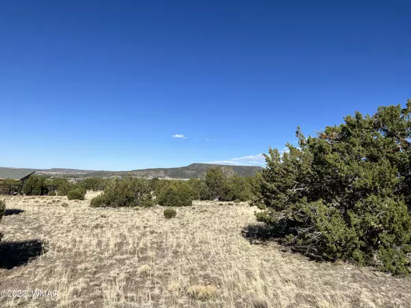 27 Round Valley Drive, Eagar, AZ 85925