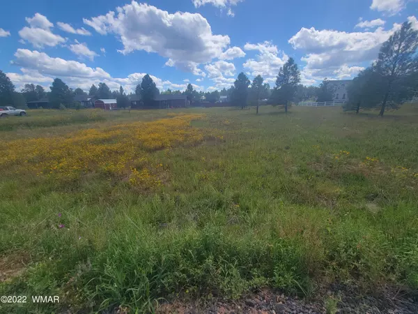 Overgaard, AZ 85933,2277 Meadow Lane