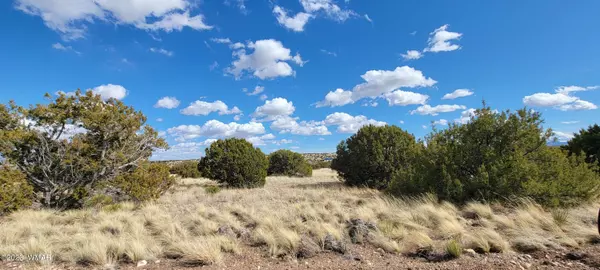 Concho, AZ 85924,56 County Road 5066 Road