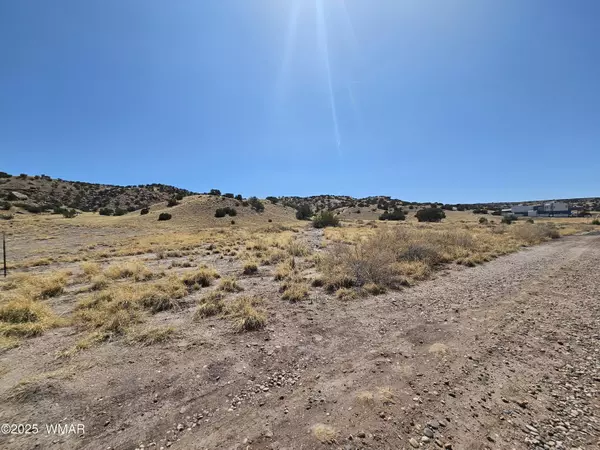 St. Johns, AZ 85936,43 CR N4019