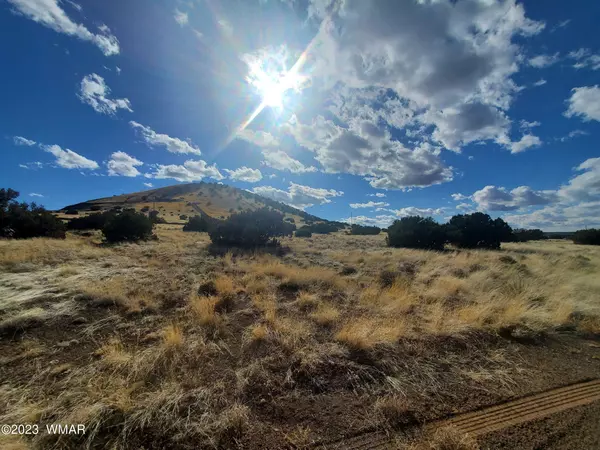 Concho, AZ 85924,CR 5105