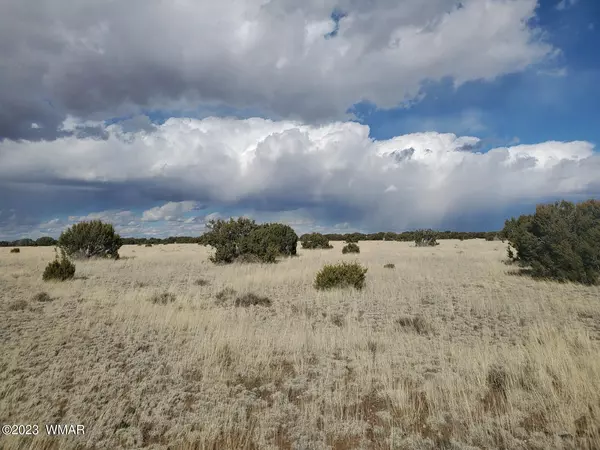Concho, AZ 85924,CR 5074