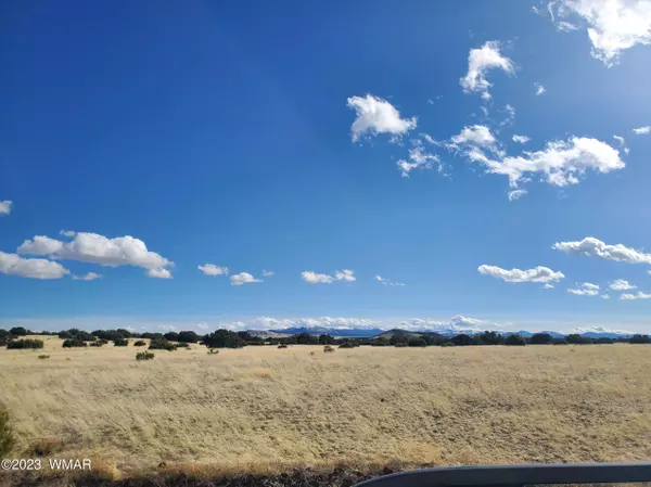 Concho, AZ 85924,CR 5074