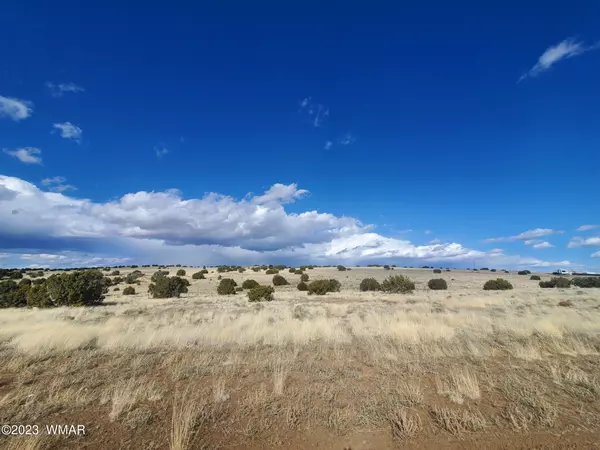 Concho, AZ 85924,CR 5123