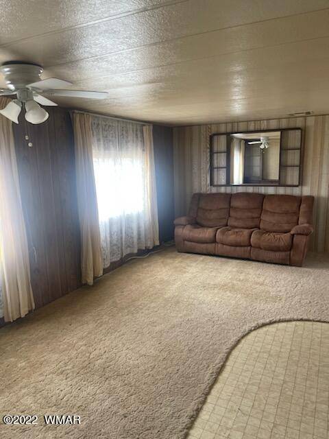 Show Low, AZ 85901,8752 Bruce Drive