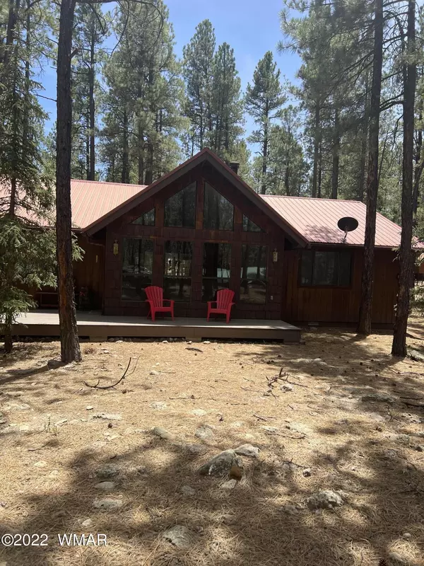 Alpine, AZ 85920,4 COUNTY ROAD 2089 #4