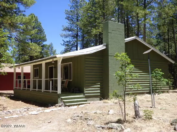 Alpine, AZ 85920,4 County Road N2119