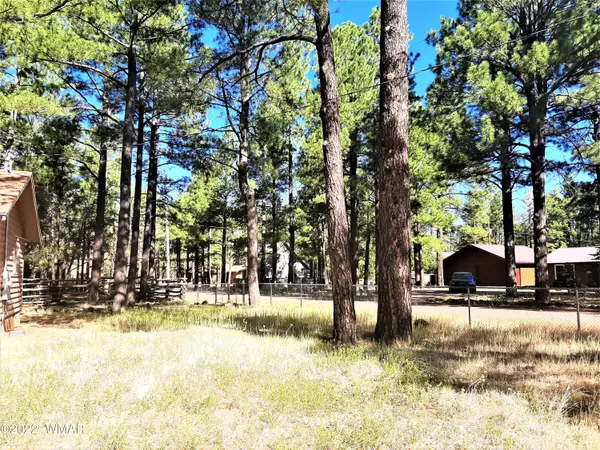 Pinetop, AZ 85935,722 N Skylane Road