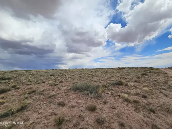 Holbrook, AZ 86025,S Tovar Avenue