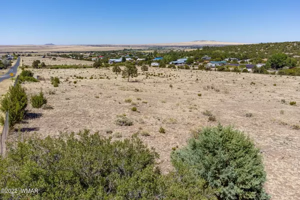 Eagar, AZ 85925,0 25.97 Acres Marion Drive