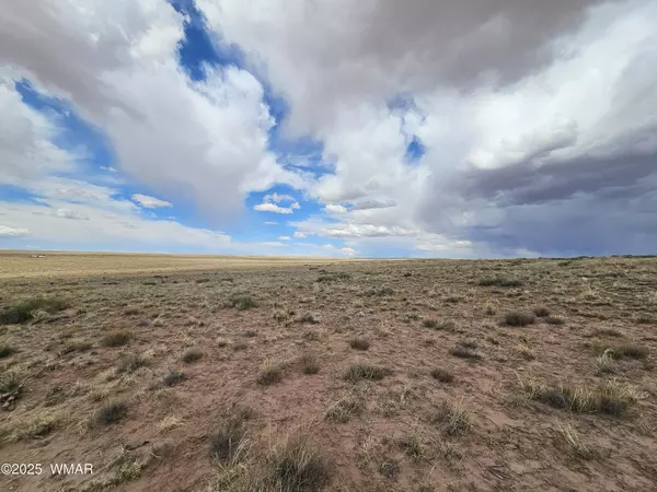 Sun Valley, AZ 86029,Summer Road