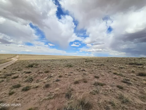 Holbrook, AZ 86025,S Tovar Avenue
