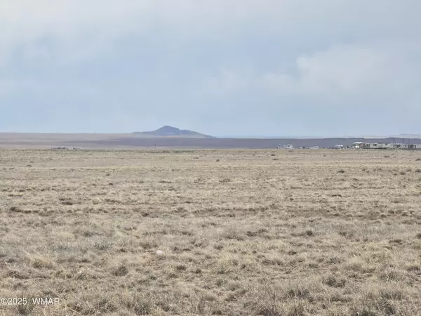 Holbrook, AZ 86025,7943 Roulette Avenue