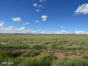 St. Johns, AZ 85936,Meadows Lot 63