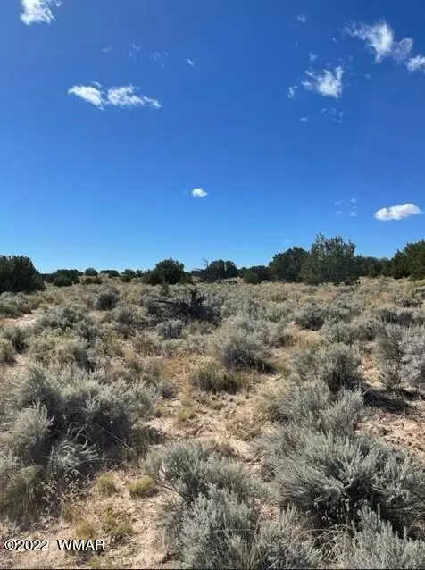 St. Johns, AZ 85936,230 Red Sky Ranch