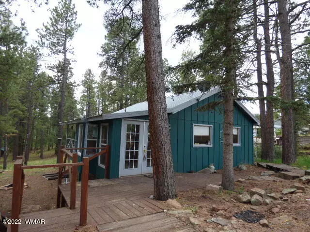 56 County Road 2051, Alpine, AZ 85920