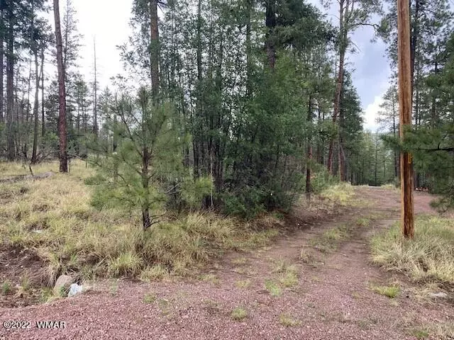 4 (County Road 2075) BUTTERMILK Lane, Alpine, AZ 85920