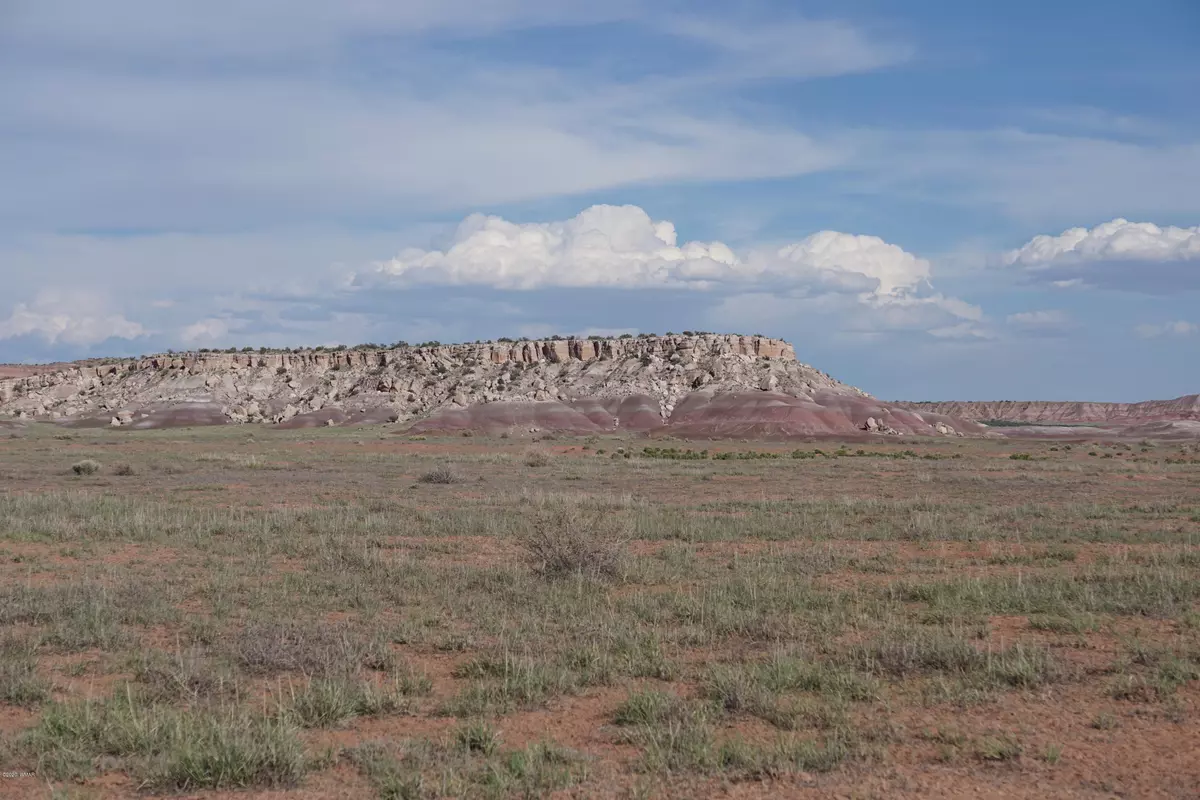 St. Johns, AZ 85936,73 Acres in Bonito Valley Ranch