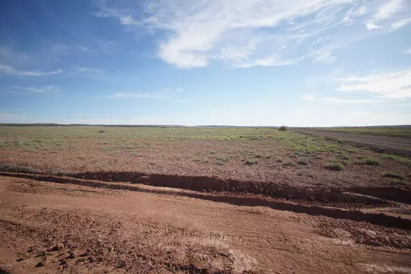 St. Johns, AZ 85936,73 Acres in Bonito Valley Ranch