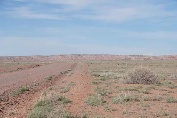 St. Johns, AZ 85936,73 Acres in Bonito Valley Ranch